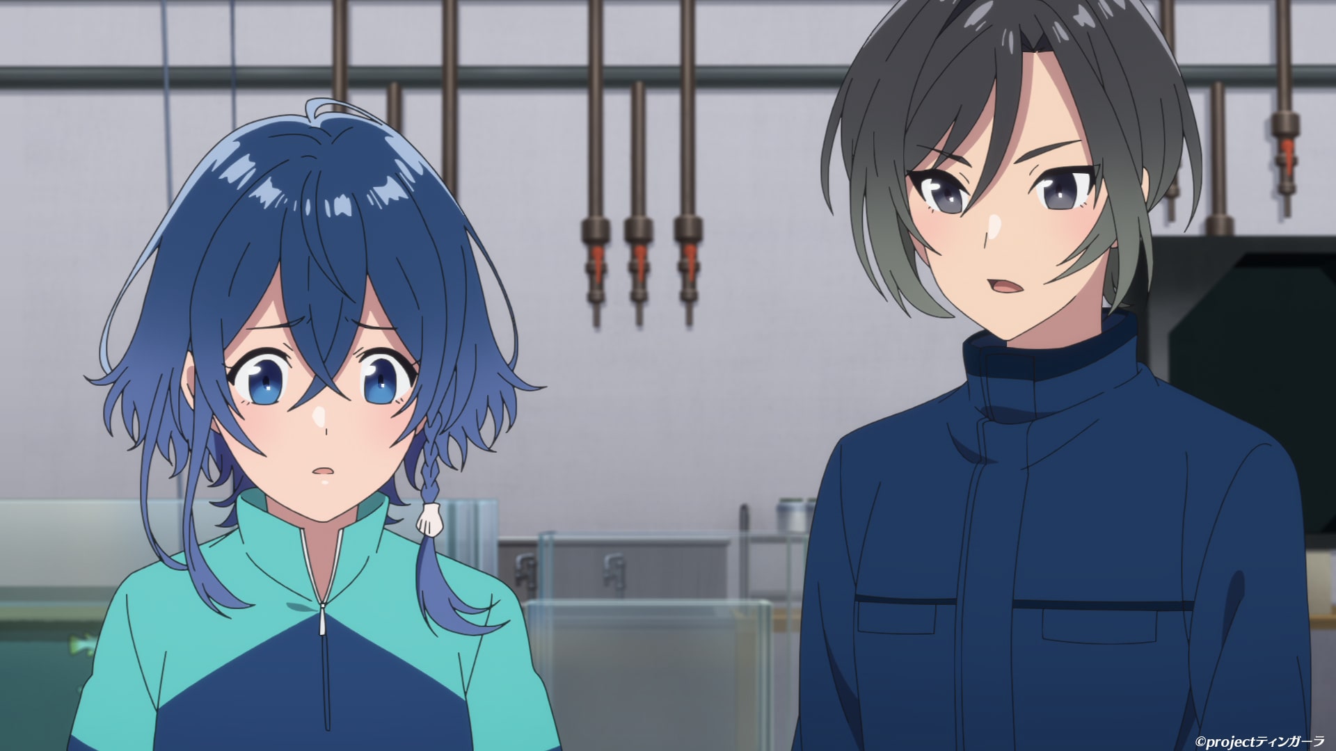 Sea slugs are difficult to care for, and now a lot of problems are coming  up with exhibiting them…? TV anime The Aquatope on White Sand Episode 15  Synopsis and early scene